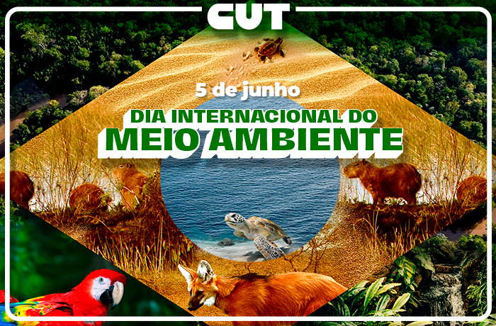 Dia do Meio Ambiente foca na COP30 e na resistência ao PL da Devastação