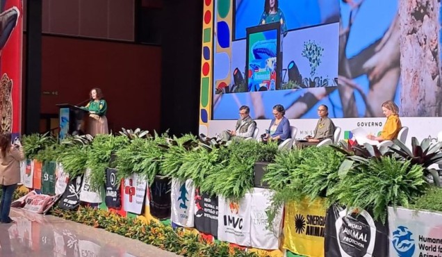 Sindsep debate proteção, defesa e direitos dos animais